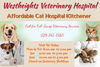 Affordable Cat Hospital Kitchener Westheights Vet Image